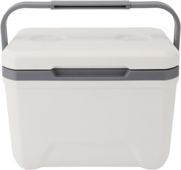 Insulated Portable Cooler, 6L Ice Chest Box, Lightweight Car Organizer Cooler Bag, Leakproof Cooler Box for Car, Travel, Outdoor Camping, BBQ, Beach, Picnic, Drink, Beverage