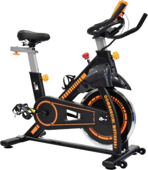 SKY LAND Fitness Spin Bike For Home...