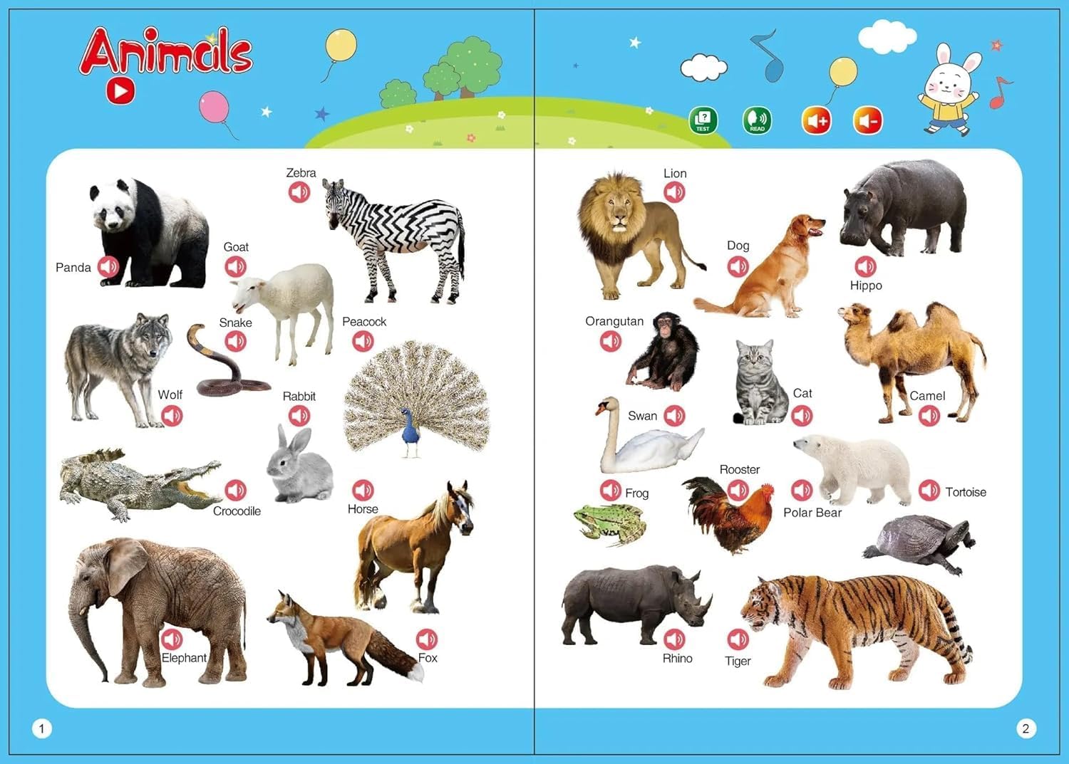 English learning E-Book Language Letters Words Numbers Learning Kids Educational Toy-FOR KIDS - الصورة 2