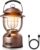 Lepro Retro Classic LED Camping Lantern, High Lumens, Daylight White 2500K and 5000K, Dimmable, USB Rechargeable, Waterproof for Camping, Vintage Decoration and Emergency (USB Charging Cable Included)